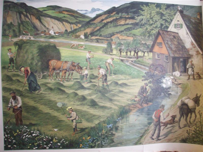 Schreibers künstlerische Wandbilder für den Anschauungs-Unterricht nach Angaben von Franz Engleder gezeichnet von Leo Kainradl. (Tafel 6: Wiese und Wasser)