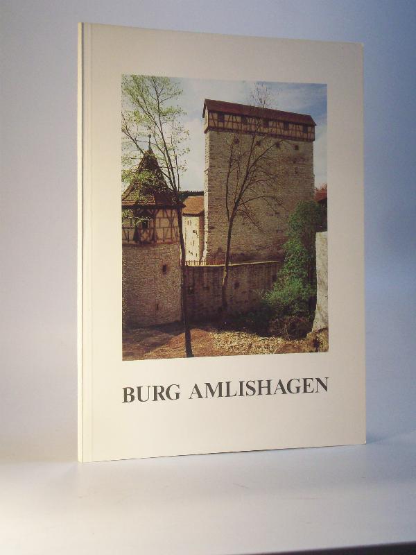 Burg Amlishagen. Die denkmalpflegerischen Probleme. Archäologische Untersuchungen. Anmerkungen zur Besitzgeschichte. 