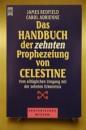 Das Handbuch der zehnten Prophezeiung von Celestine. Vom alltäglichen Umgang mit der zehnten Erkenntnis.