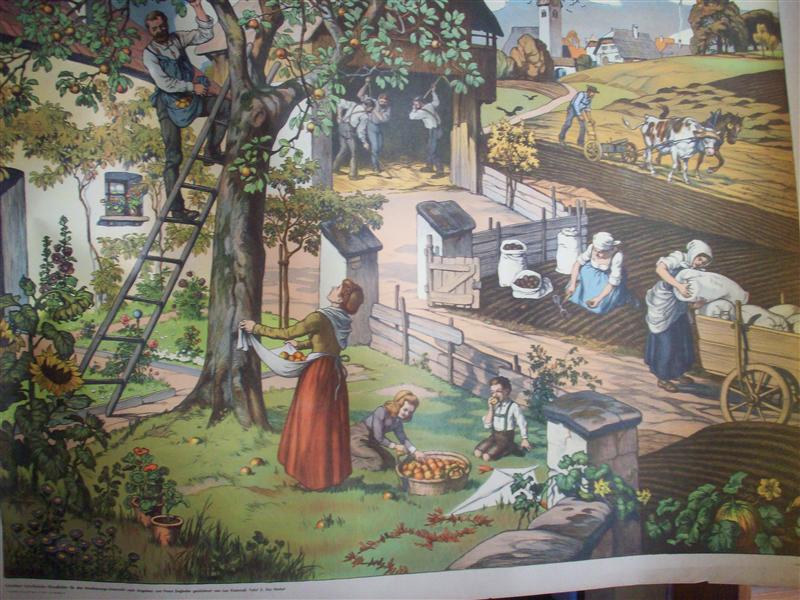 Schreibers künstlerische Wandbilder für den Anschauungs-Unterricht nach Angaben von Franz Engleder gezeichnet von Leo Kainradl. Tafel 2: Der Herbst